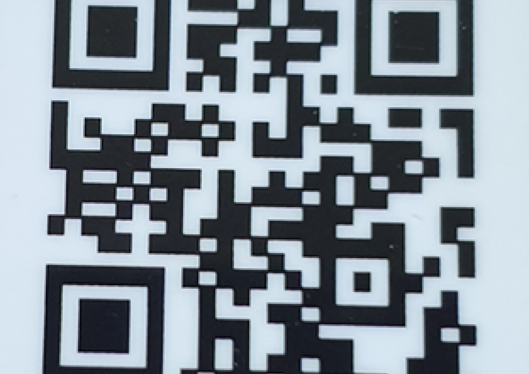 Scan de QR-code en meld een nest van een Aziatische hoornaar